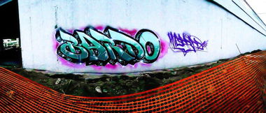 Graffiti Bombing - Photo by BARDO