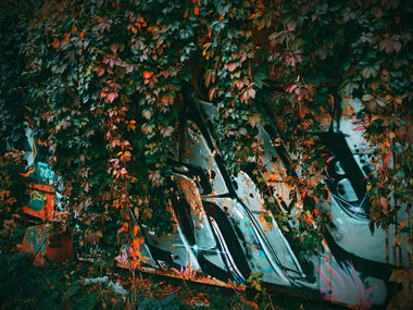 Graffiti Wall - Photo by BARDO