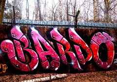 Graffiti Bombing - Photo by BARDO - bardograffiti, art (2015)
