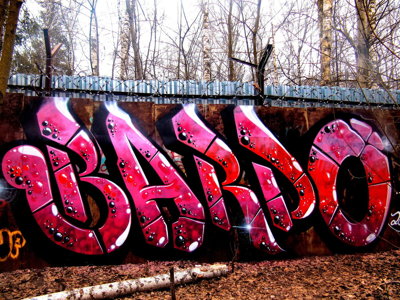 Graffiti Bombing - Photo by BARDO - bardograffiti, art (2015)