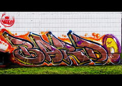 Graffiti Bombing - Photo by BARDO (2012)