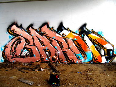 Graffiti Bombing - Photo by BARDO - bardo, graffiti, bardo