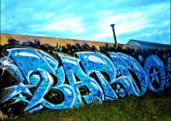 Graffiti Bombing - Photo by BARDO - bardo, graffiti, граффити (2013)