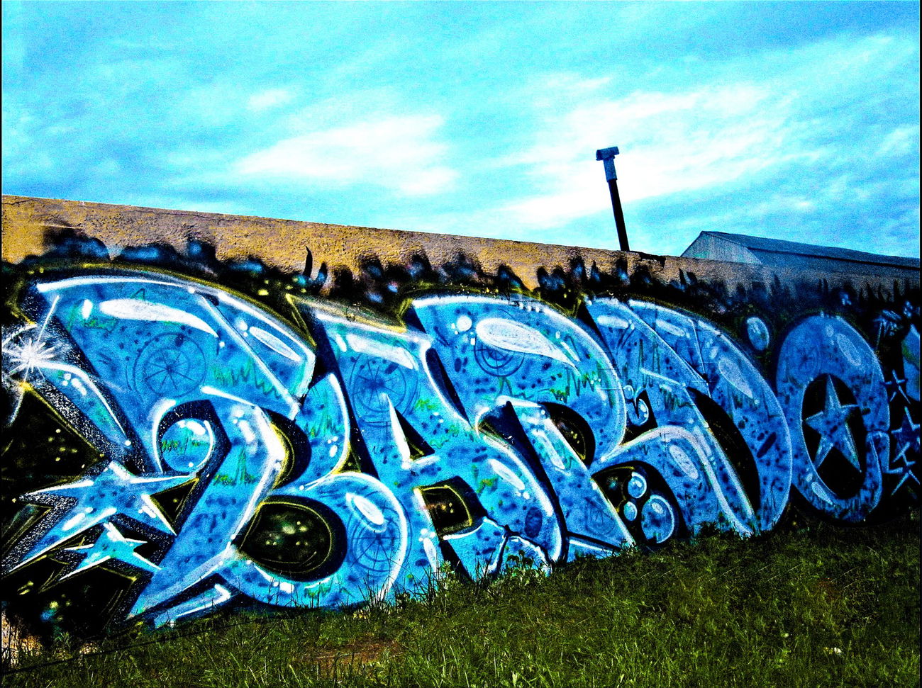 Graffiti Bombing - Photo by BARDO - bardo, graffiti, граффити (2013)