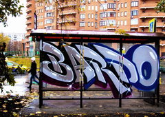Graffiti Bombing - Photo by BARDO - bardo, graffitiграффитиart (2014)
