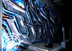 Graffiti Bombing - Photo by BARDO - bardo, graffiti (2015)