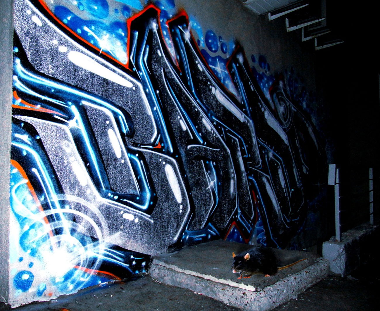 Graffiti Bombing - Photo by BARDO - bardo, graffiti (2015)