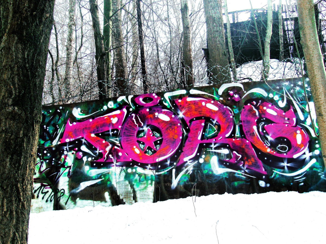 Graffiti Bombing - Photo by BARDO (2012)