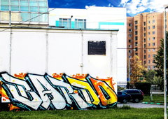 Graffiti Wall - Photo by BARDO - bardoartbombinggraffiti (2015)