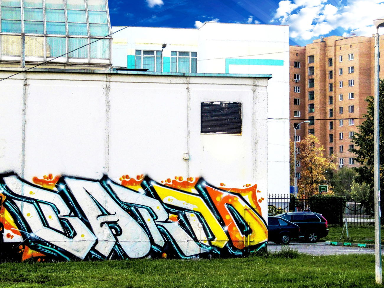 Graffiti Wall - Photo by BARDO - bardoartbombinggraffiti (2015)