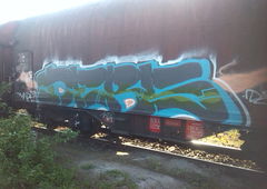 Photo #155117 by Anis