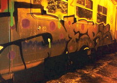 Photo #156202 by Profilneurose