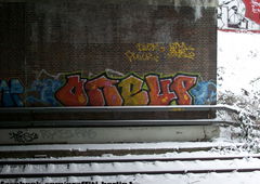 Photo #33917 by TagHagel