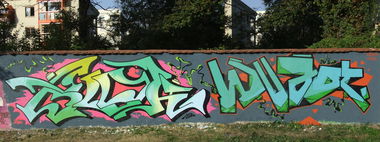 Graffiti Wall - Photo by BLOKY - blok, wujot, usp (2011)