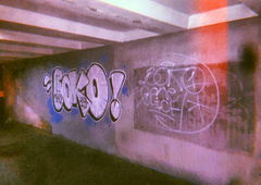 Photo #226354 by BugZBuNNy