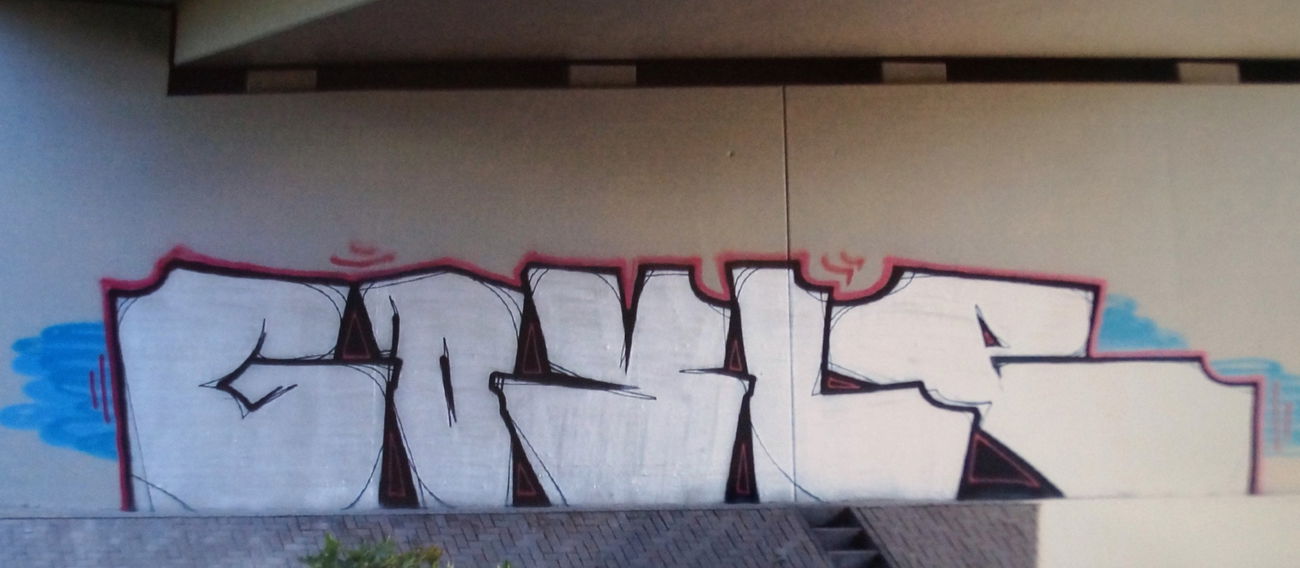 Graffiti Bombing - Photo by BOND001 - Osnabrück, TGF, WCMF (2013)