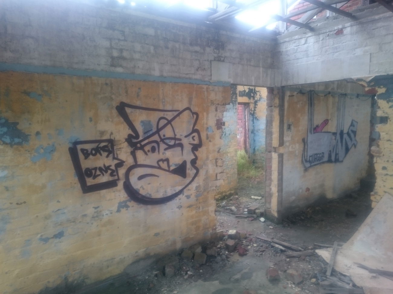 Graffiti Bombing - Photo by BORS021 - BORS, OZNE