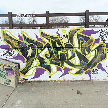 Graffiti Bombing - Photo by BRAES (2014)