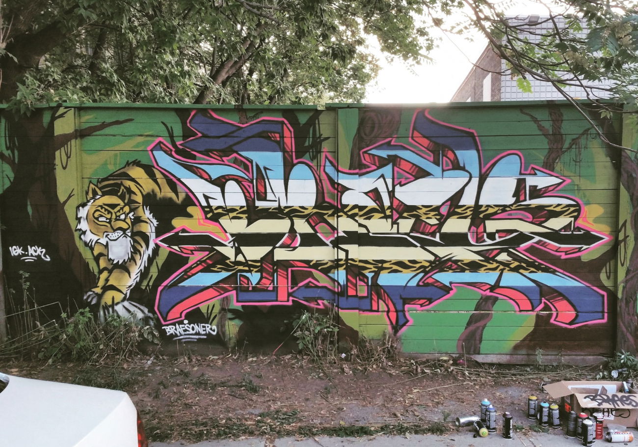 Graffiti Wall in Toronto - Photo by BRAES - urbanart, colors, style (2015)