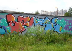 Photo #22435 by Coler