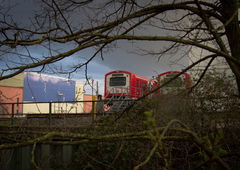 Photo #97763 by 4501D