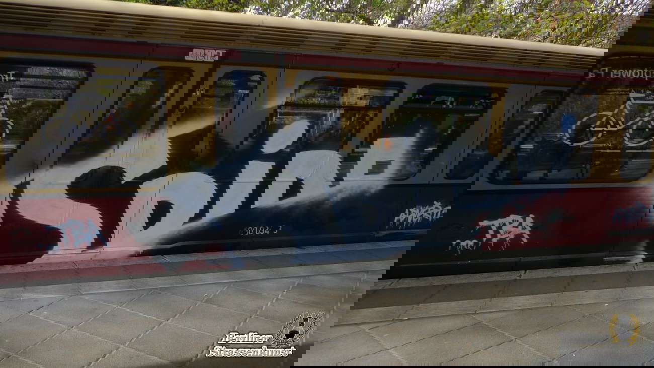 Graffiti Train in Berlin - Photo by BSK - SPIDER (2014)