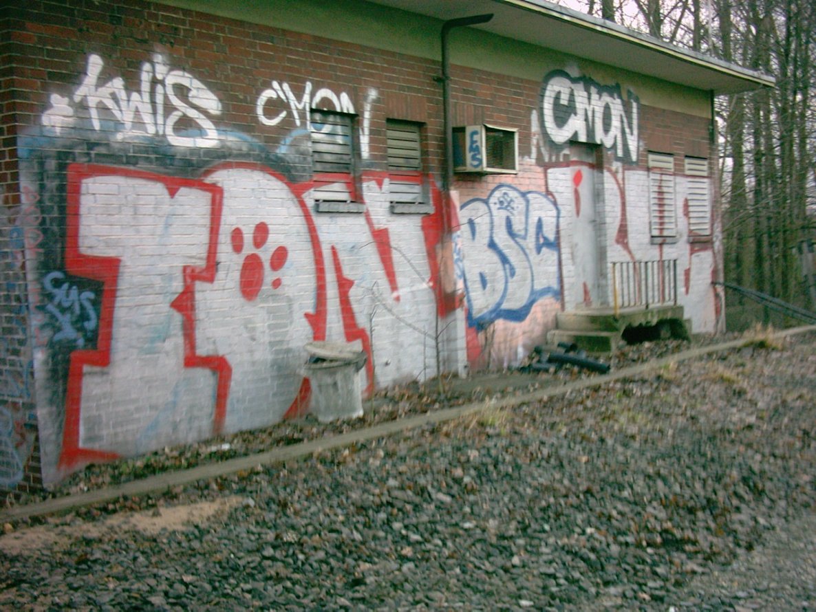 Graffiti Bombing in Brunswick - Photo by BSWriters - Ion, Bie, BSC