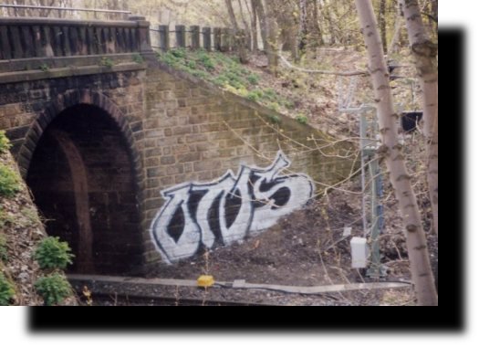 Graffiti Bombing in Wolfenbüttel - Photo by BSWriters - ONS