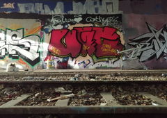 Photo #236313 by HarryKnidder