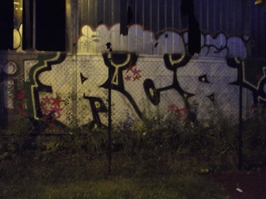 Graffiti Bombing - Photo by BTT0341 - RCS, Radicals, Leipzig