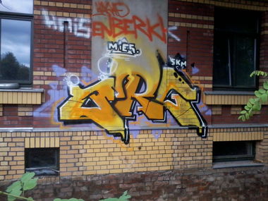 Graffiti Wall - Photo by BTT0341 - ORG, Crew, Mies