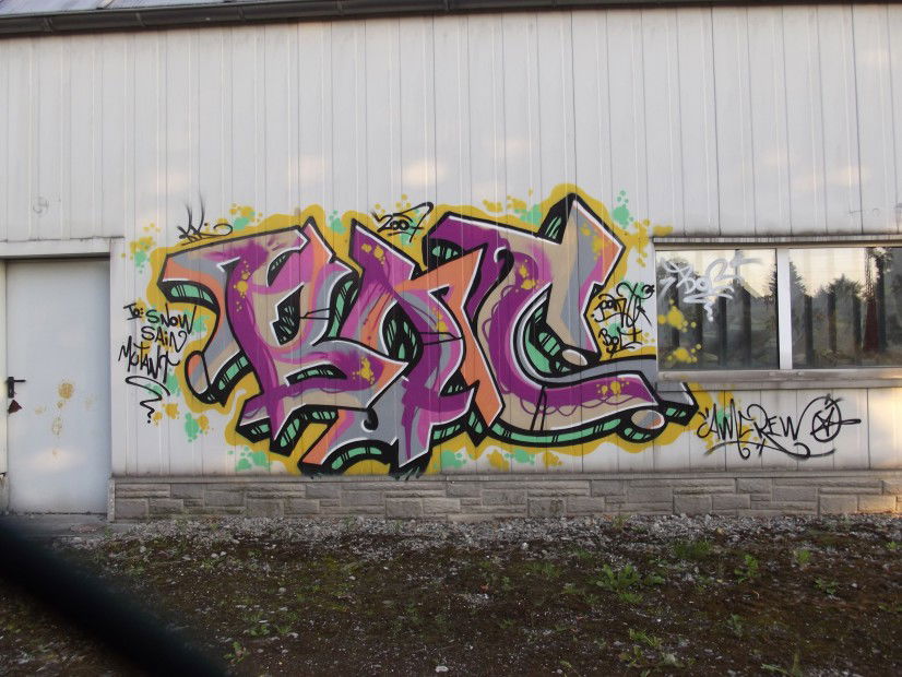 Graffiti Bombing - Photo by BTT0341