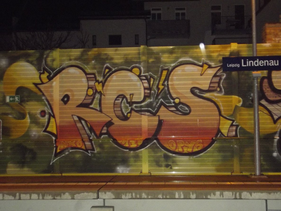 Graffiti Bombing - Photo by BTT0341 - rcs, radicals, leipzig