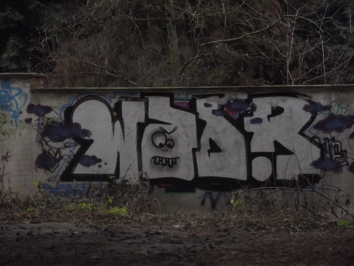 Graffiti Wall - Photo by BTT0341 - wader, nsr