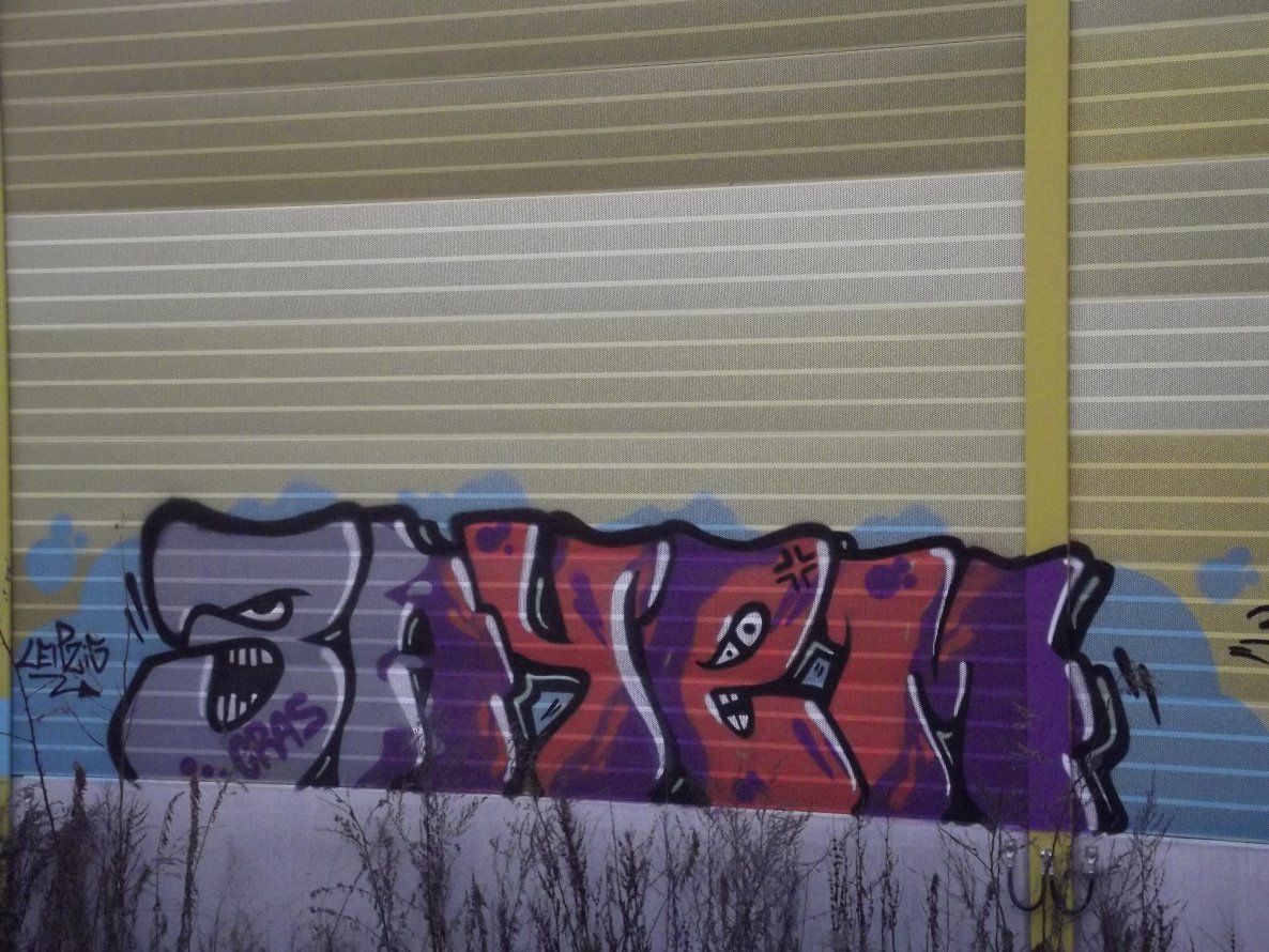 Graffiti Bombing - Photo by BTT0341 - cras, 3ayem, leipzig