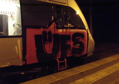 Photo #73447 by TheWallHunter