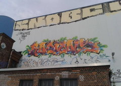 Photo #102372 by TheWallHunter