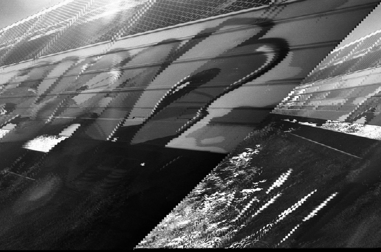 Graffiti Train - Photo by BURAN - Buran (2013)