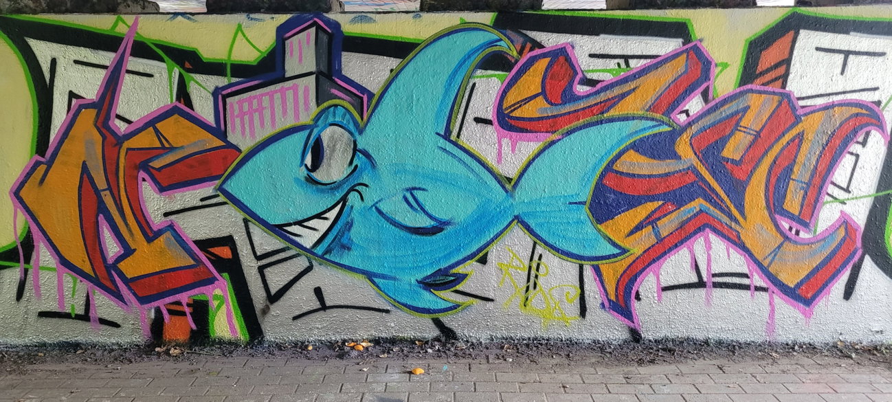 Graffiti Wall - Photo by Backfisch01 - rida (2026)