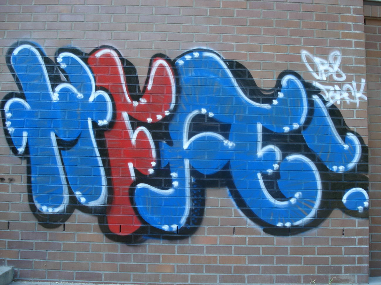 Graffiti Bombing - Photo by Backoner