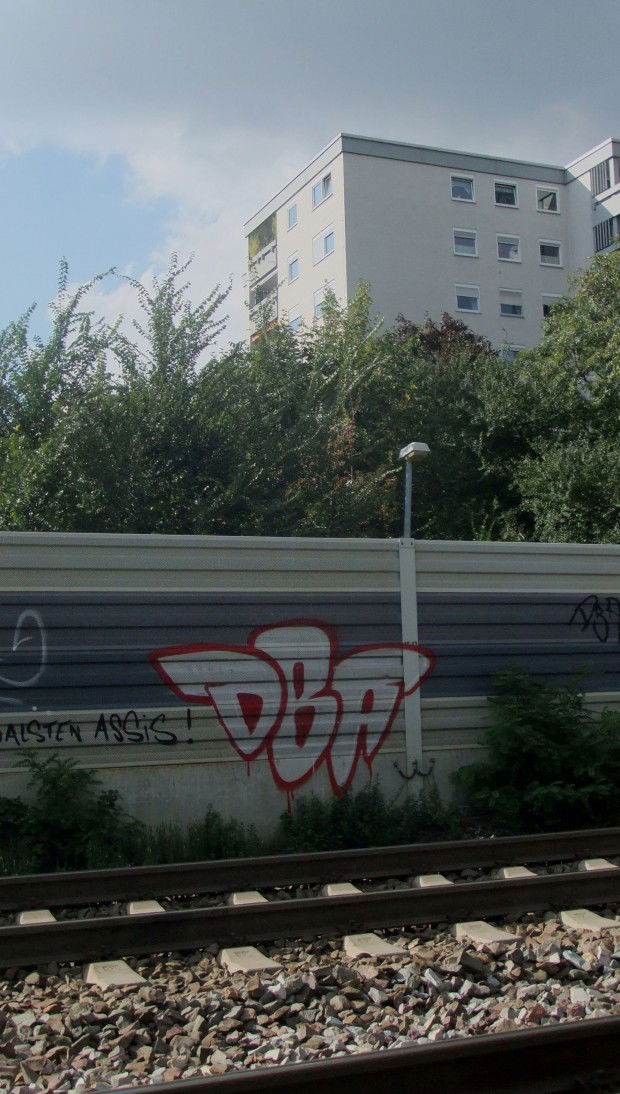 Graffiti Bombing - Photo by Badner (2012)