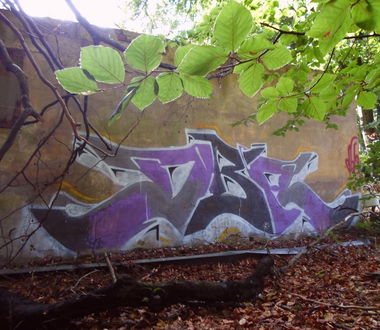 Graffiti Bombing - Photo by Badner - dba, crew, dba