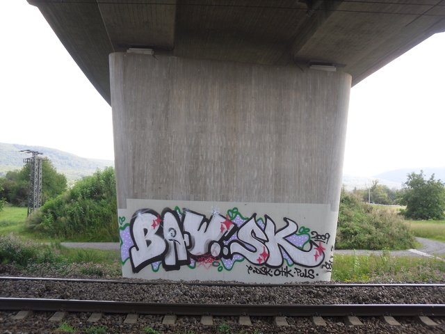 Graffiti Bombing in Karlsruhe - Photo by Bananensaft - Baw, sk, trainline