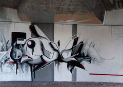 Photo #35393 by TheWallHunter