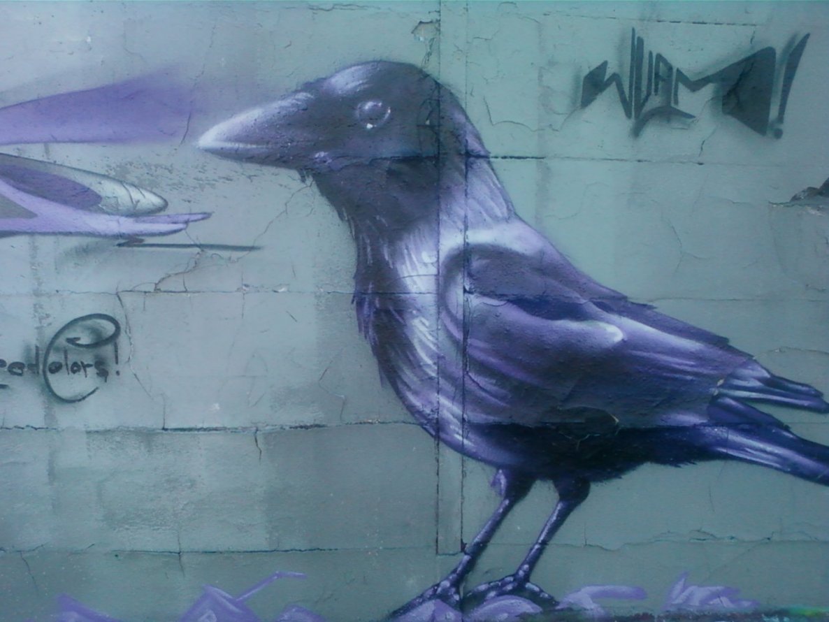 Graffiti Wall in Karlsruhe - Photo by Bananensaft - Vogel, wuam, karlsruhe