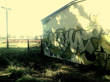 Graffiti Bombing - Photo by Bandito - ALQMAT<