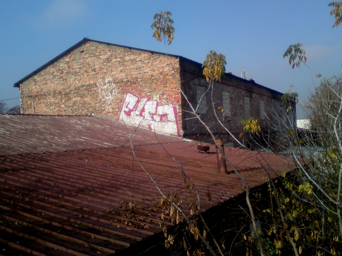 Graffiti Bombing - Photo by Bandito - ELFO, 2