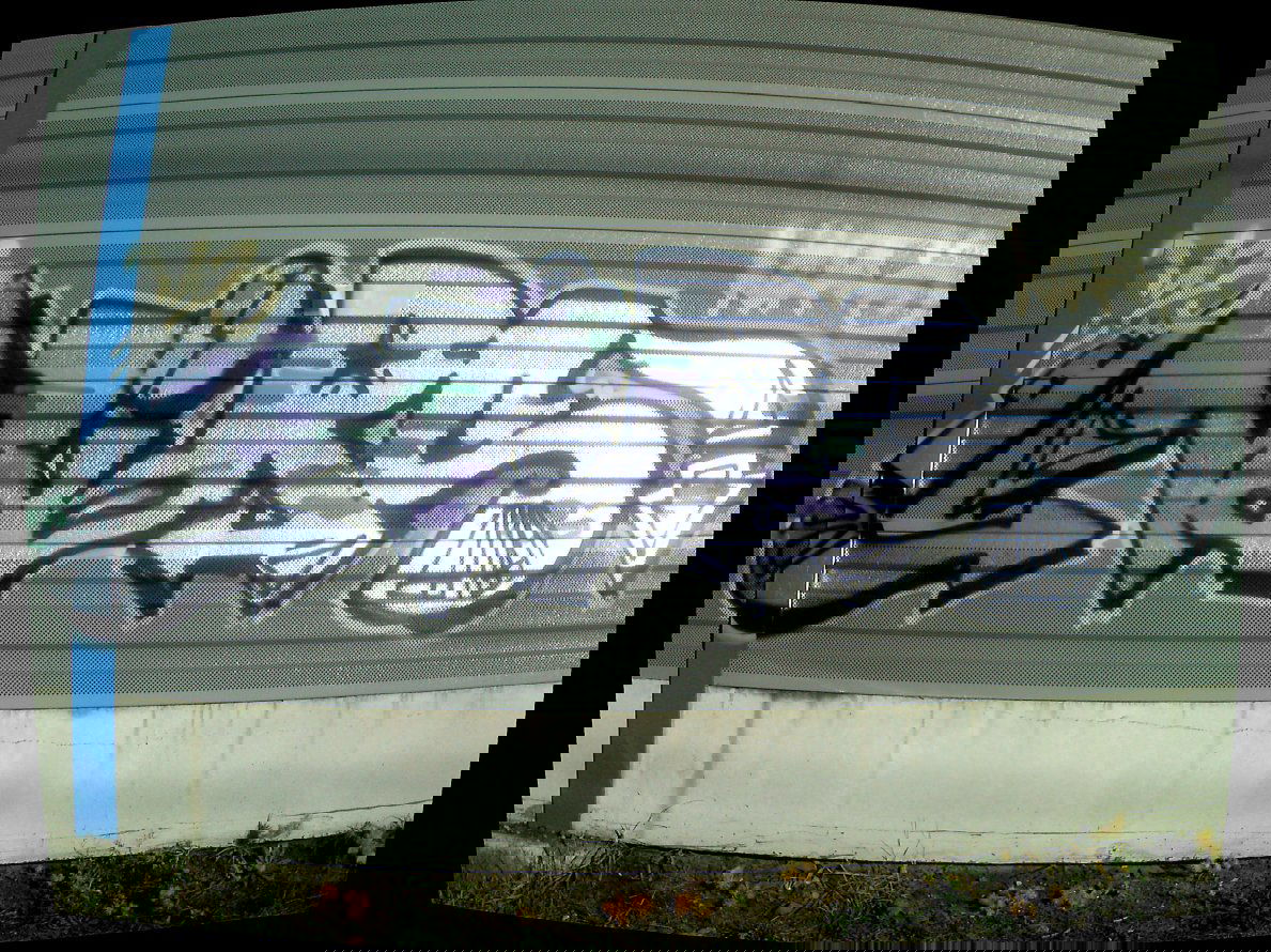 Graffiti Bombing - Photo by Bandito - Nirs'u