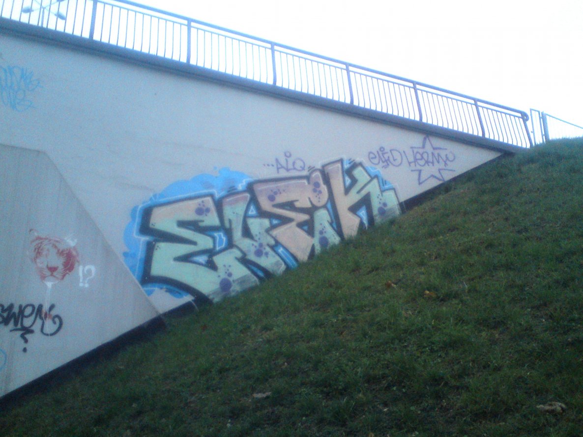 Graffiti Bombing - Photo by Bandito - *, ELFIK, *