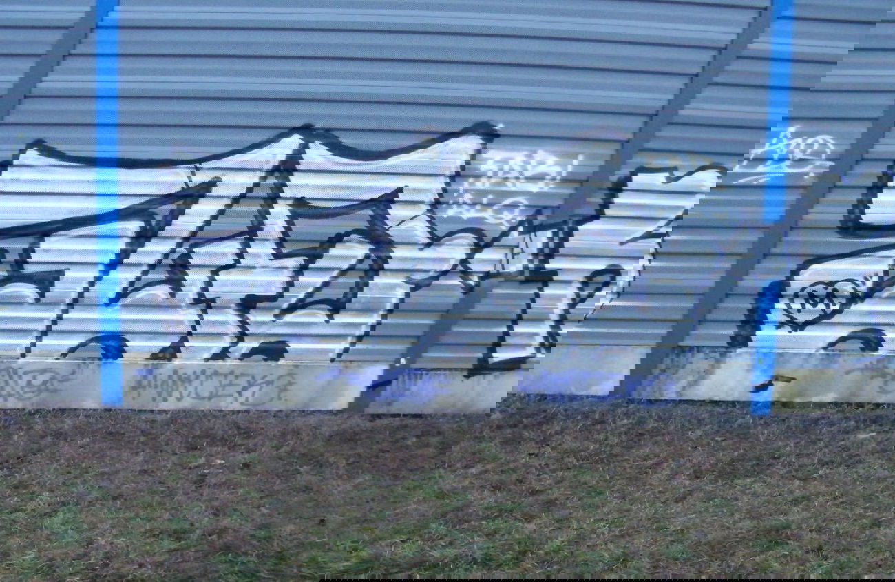 Graffiti Bombing - Photo by Bandito - 3LFO4 (2014)